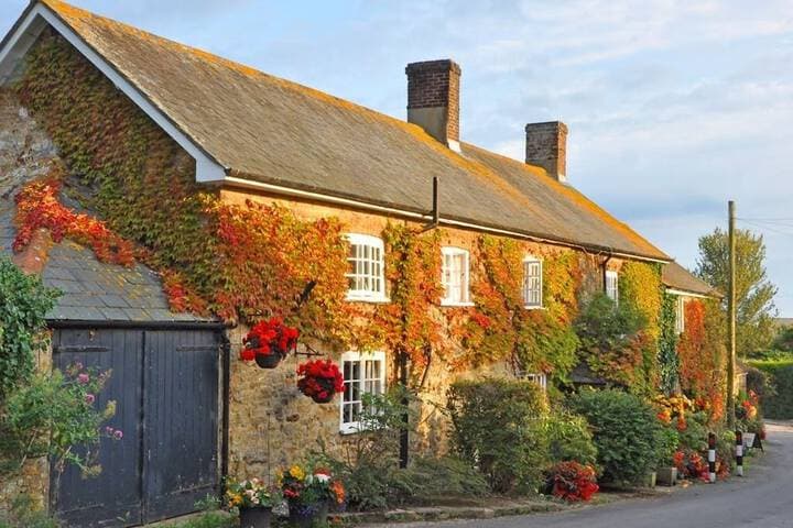 Abbotsbury destination view