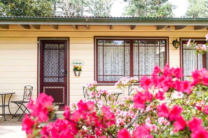 Federation Gardens & Possums Hideaway photo 3