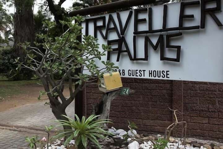 A Travellers Palm photo 5