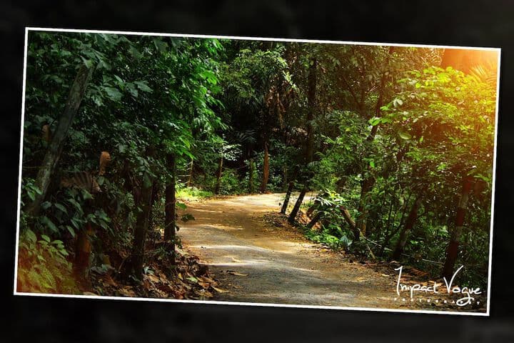 Kandy Holiday Residence photo 5