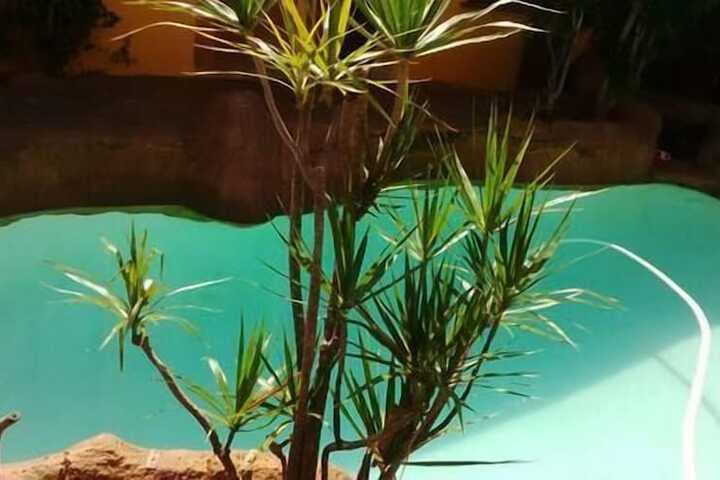 Flintstones Guest House Durban photo 2
