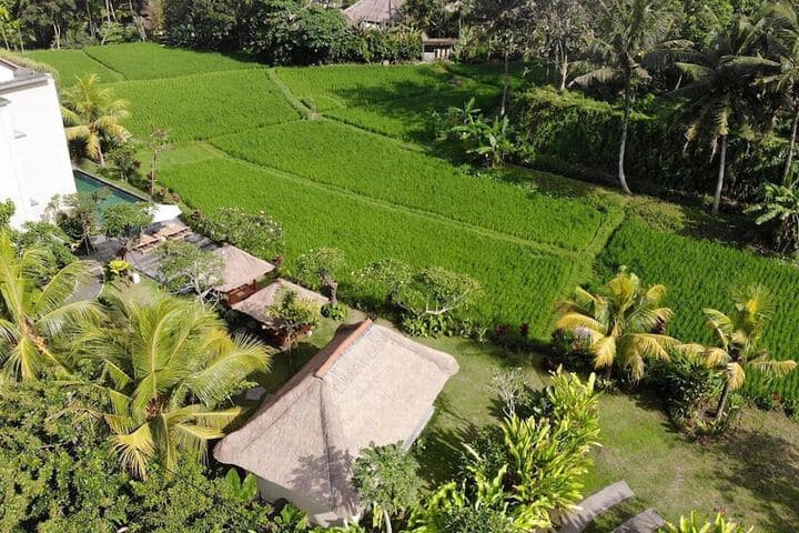 Byasa Ubud photo 5