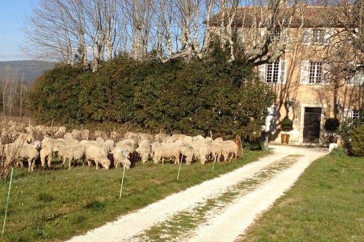 Domaine le Clos du Pavillon photo 3