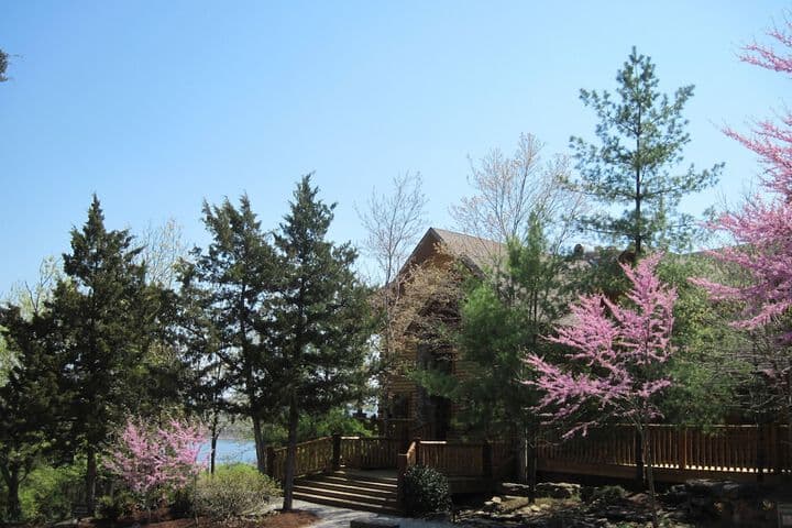The Village at Indian Point Resort photo 4