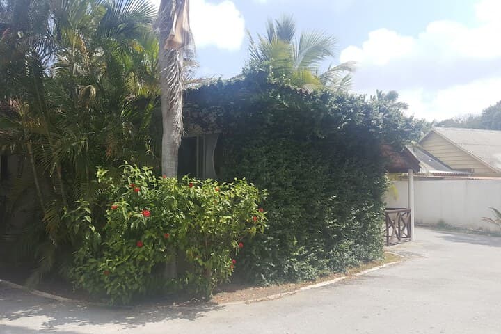Damacor Apartments photo 2