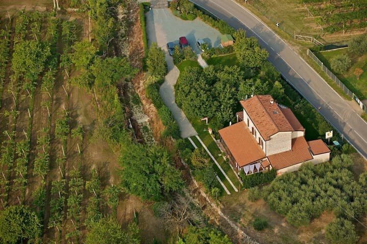 Villa Gesi photo 3