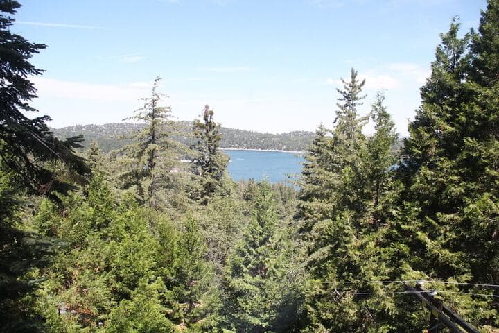 Lakeview House at Lake Arrowhead photo 5