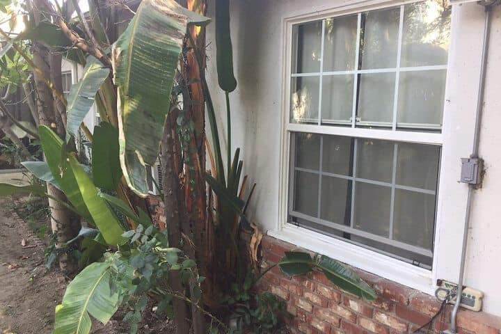 Comfortable Beverly Hills Town House photo 2