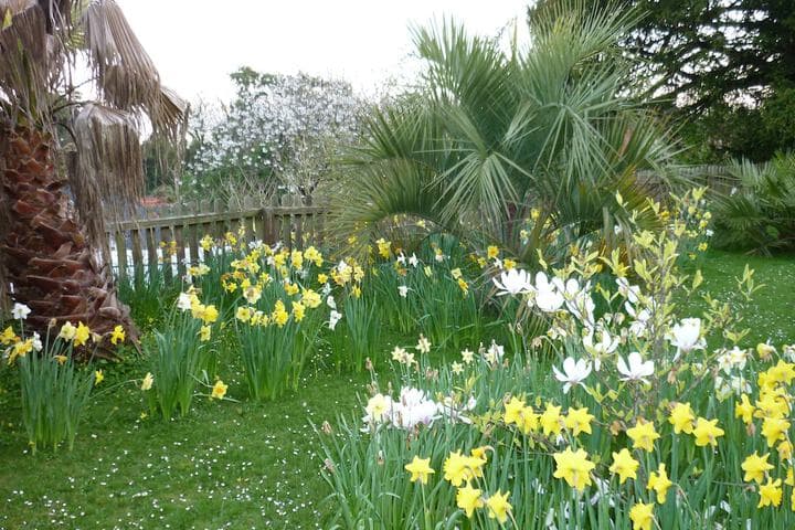 St Maur photo 3