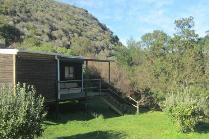 Swaynekloof Farm photo 4