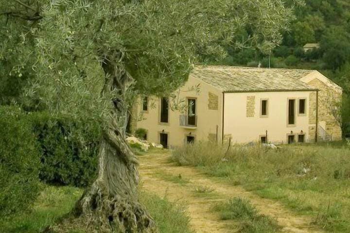 Villa Trigona photo 2
