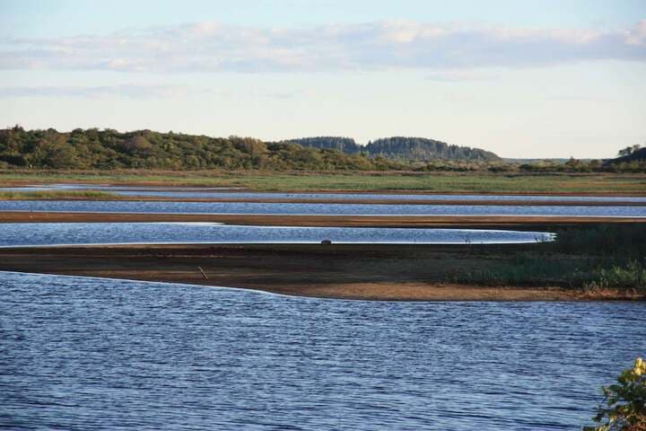 Harborsides Neighbor photo 5