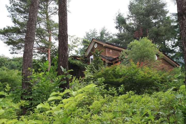 Mayfair Pension photo 2