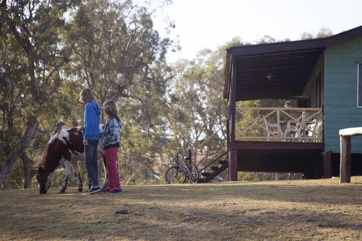 Bestbrook Mountain Resort photo 5