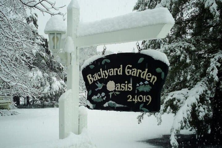 Backyard Garden Oasis photo 3