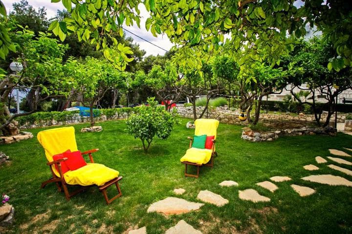 Terrace Apartment photo 4