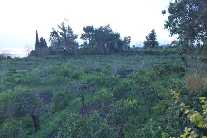 Baglio delle Rose photo 4