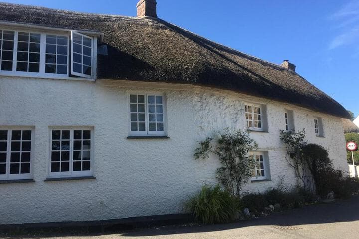 The Thatched Cottage photo 2