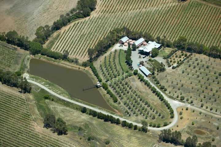 Patly Hill Farm photo 2