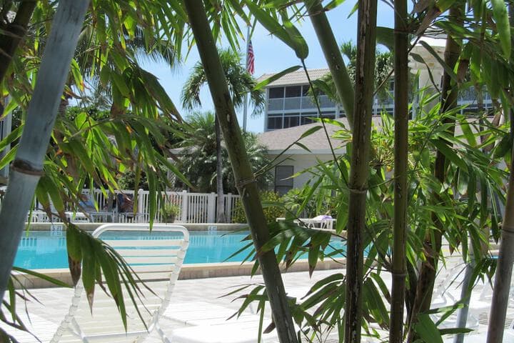 Sanibel Siesta on the Beach photo 4