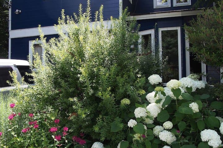 Bellscabin Guesthouse photo 3