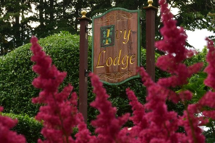 Ivy Lodge Bed & Breakfast photo 4