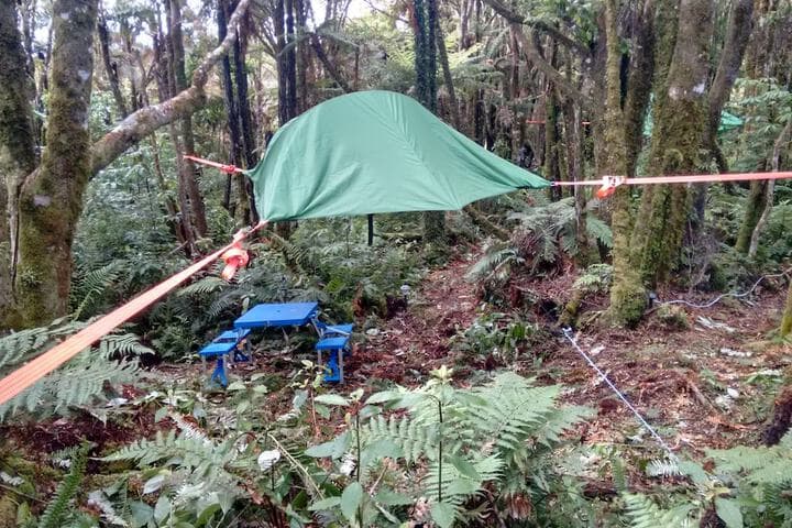Pupu Rangi Nature Sanctuary Conservation Area photo 3