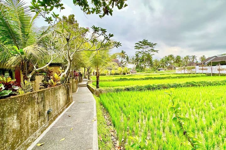 Dupa Ubud Villa photo 2