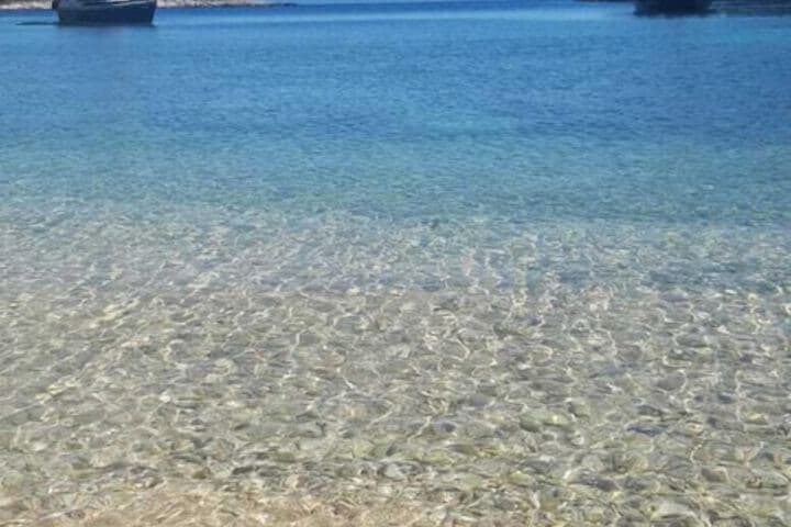 Violeta Hvar photo 2