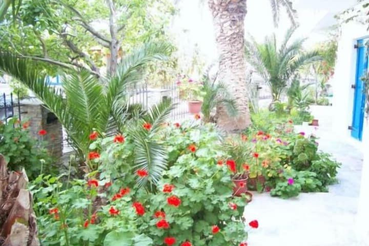Foinikas Studios photo 4