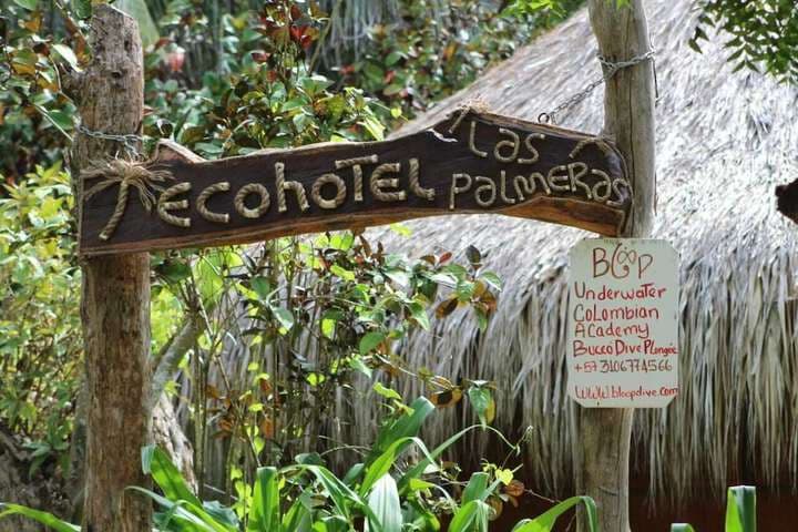Las Palmeras photo 4