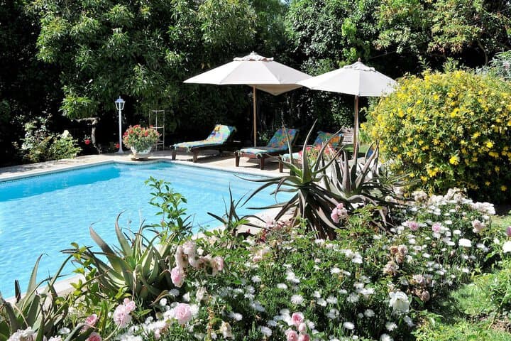 Alba House Bed & Breakfast photo 5