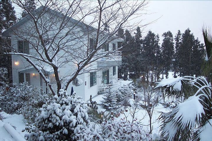 Jeju Casablanca photo 2