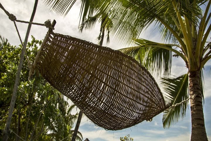 Les Maisons Ditac photo 4