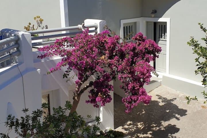 Pension Atlas photo 5
