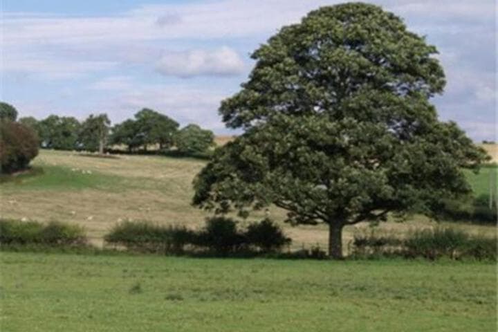 Dove Meadow photo 5