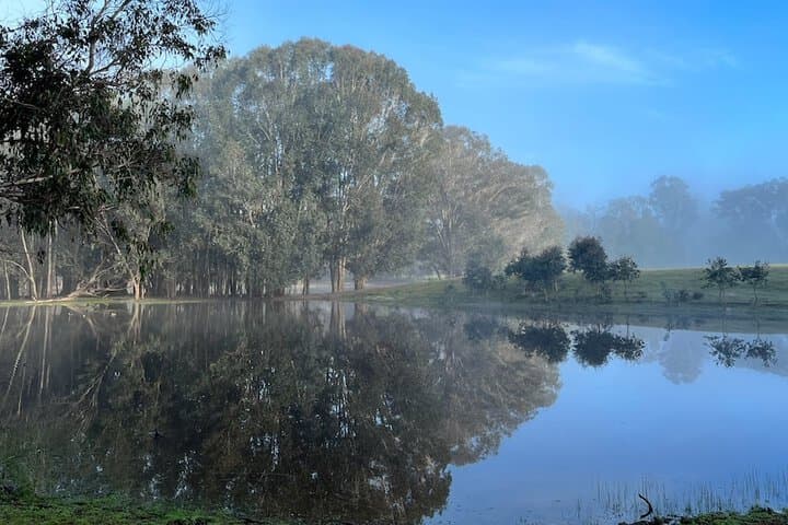 Jarrah Glen Cabins photo 3