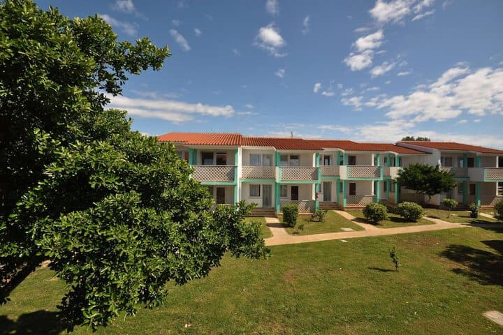 Apartments Kazela photo 3