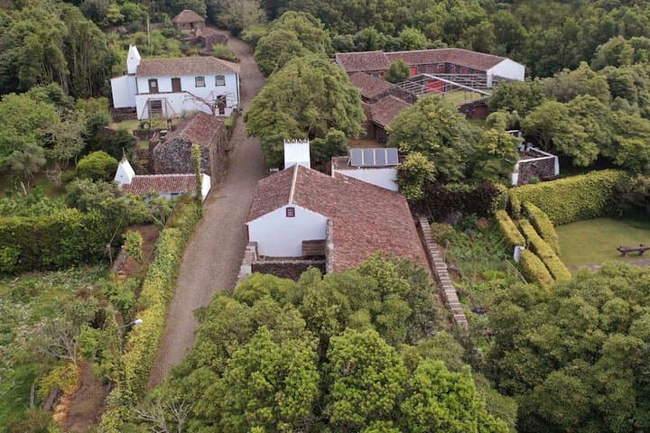 Quinta do Martelo photo 4