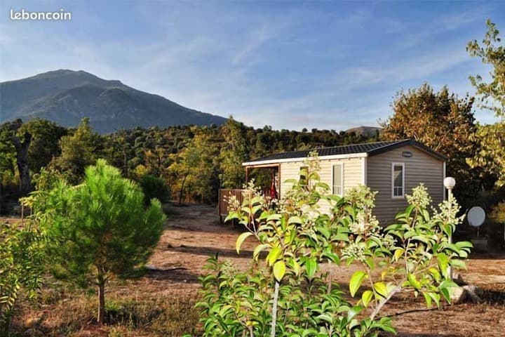 Moltifao destination view
