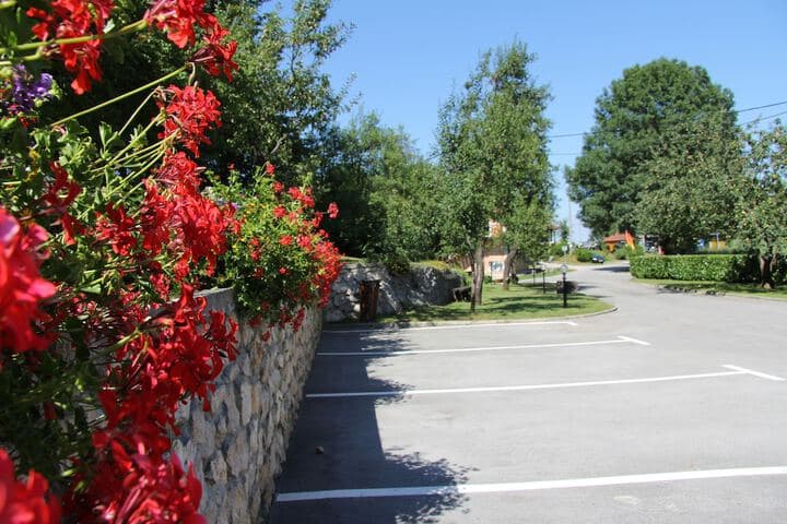 House Marija B&B photo 4