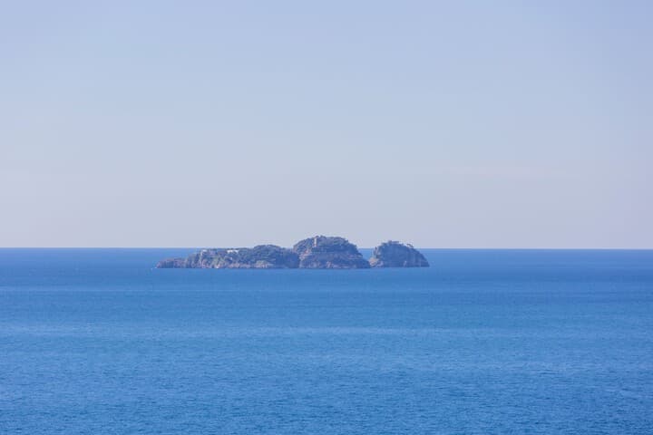 La Maliosa DArienzo photo 3
