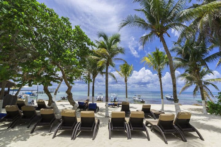 Playa Palms Beach Hotel photo 3