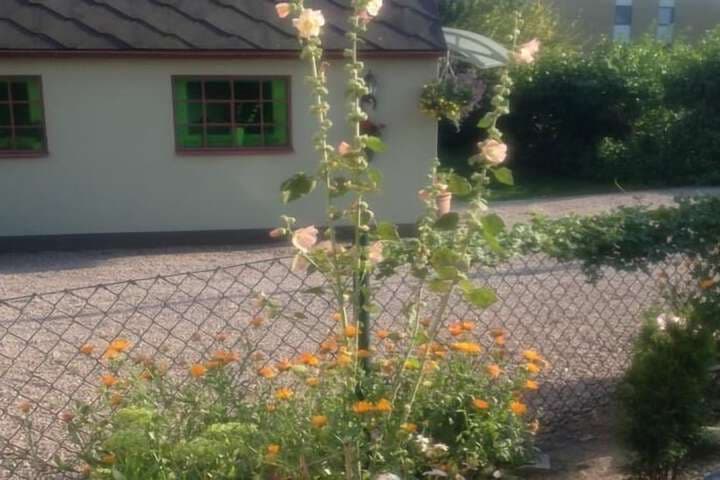 Vivans Bed & Self catering photo 4