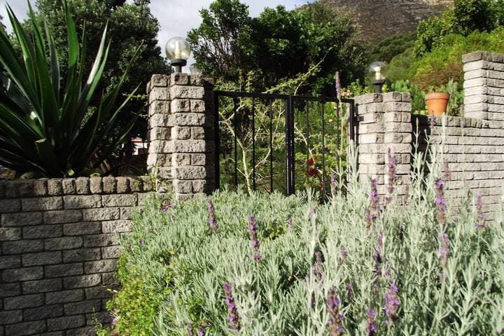 Bluebottle Guest House photo 4