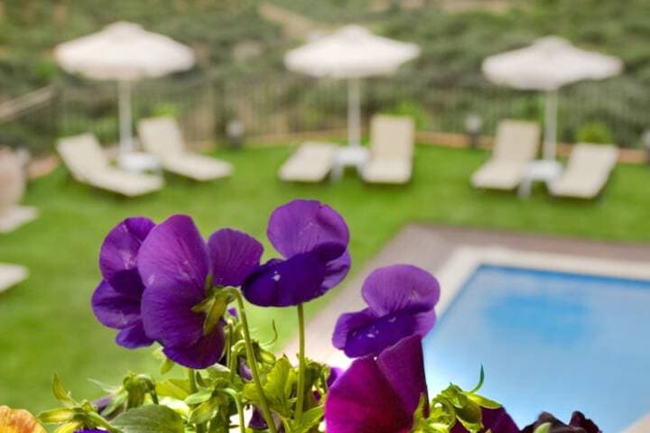 Katalagari Country Suites photo 4