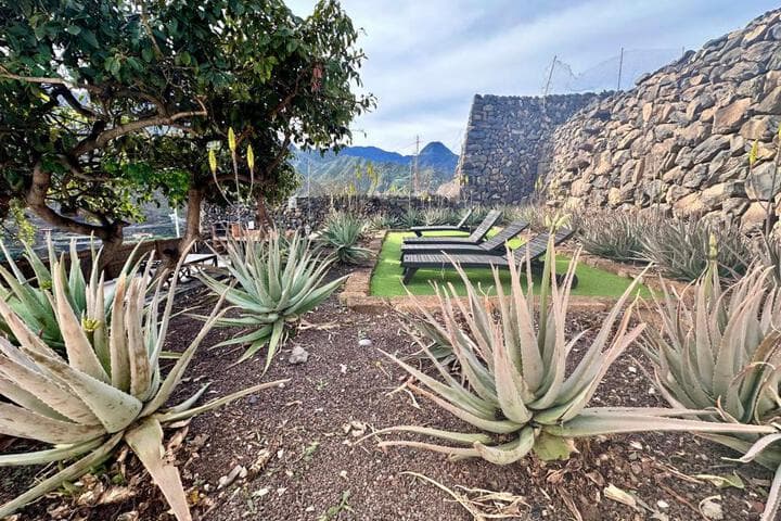 Villa Aloe photo 4