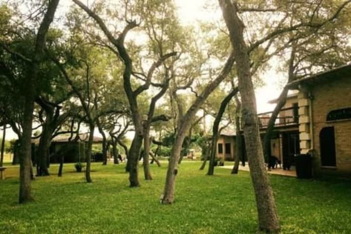 Live Oaks Bed&Breakfast photo 3