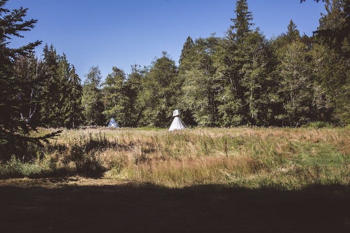 Mt. Rainier Ranch photo 3