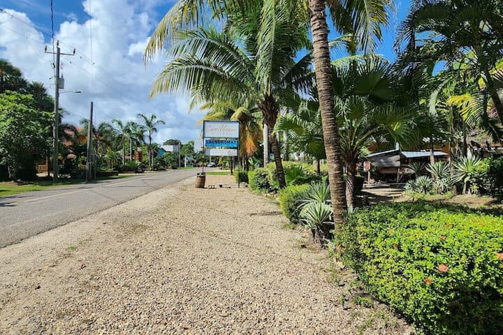 Caribbean Shores Bed & Breakfast photo 2